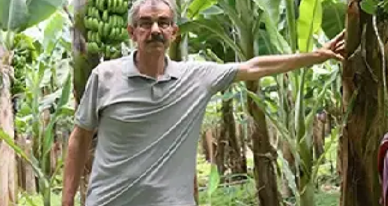 Gündemden Son Bilgiler: 11 yılda üretim 4 kat arttı fiyatlar çakıldı: Üreticiler isyanda - En Son Haber - Son