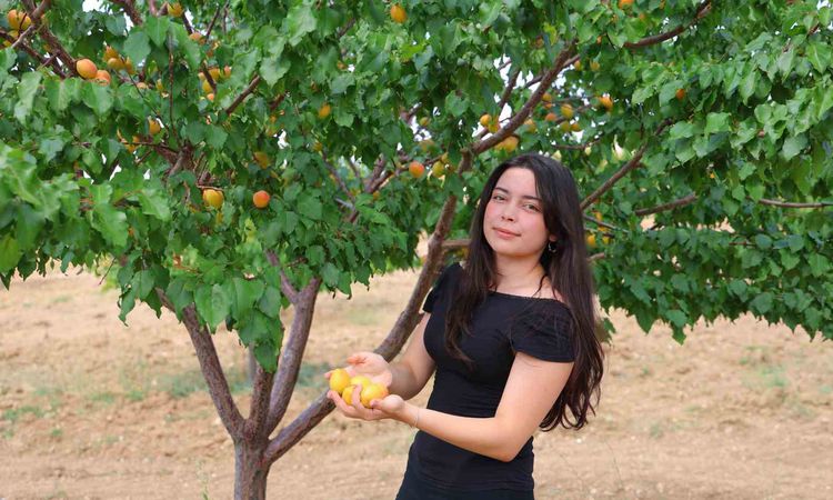 Kritik Açıklama: 17 Yaşındaki Öğrencinin Susuz Kayısı Projesi Dünya Derecesi Aldı - Haberleri | İşte Tüm Ayrın