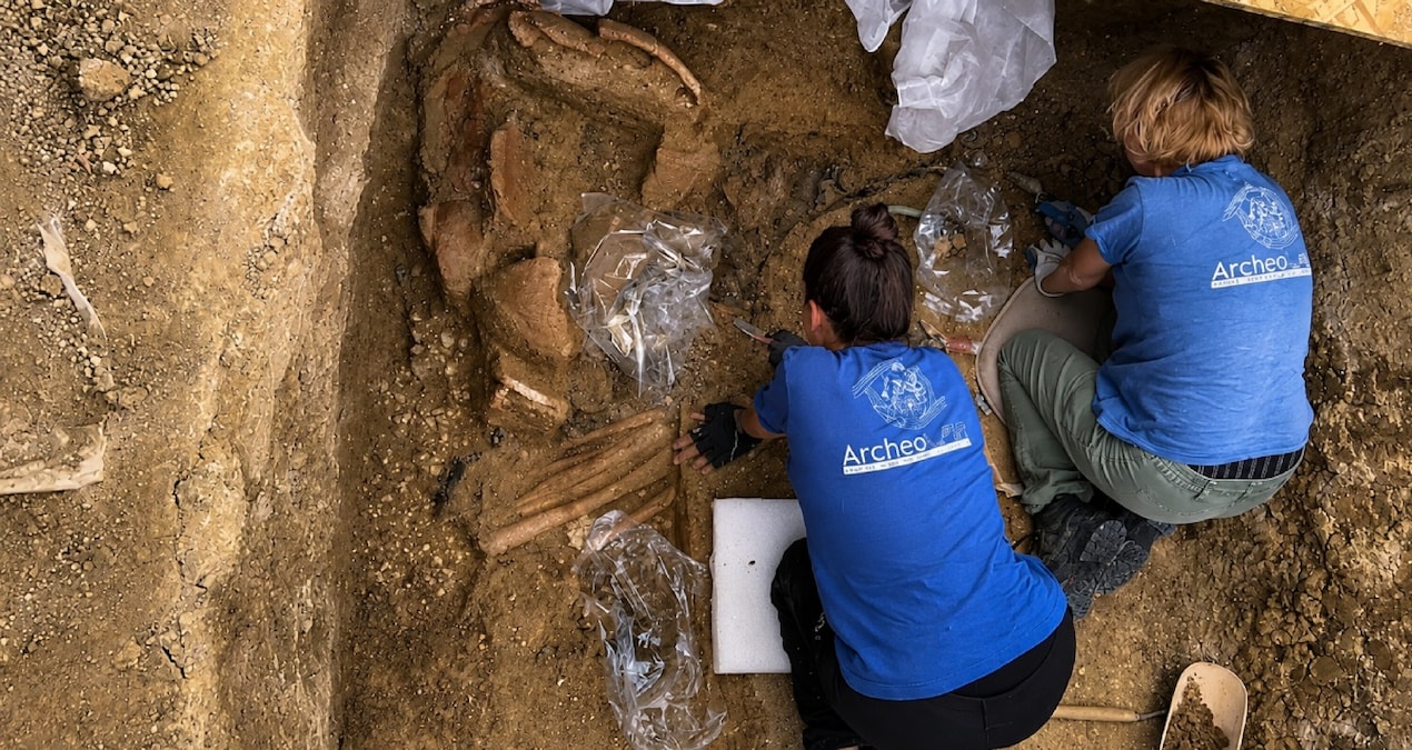 2,600-year-old prince tomb reveals a new mystery - Latest News