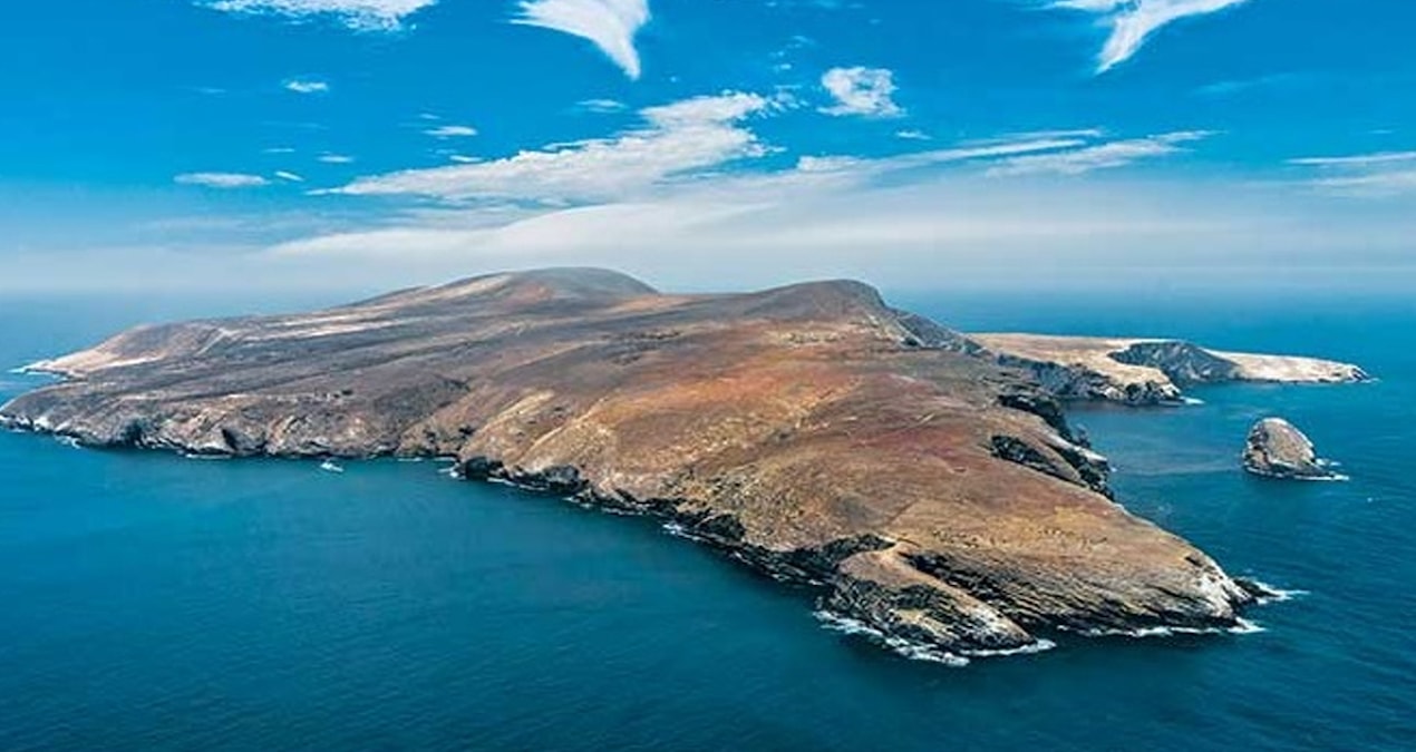250 yıldır tek damla su içmeden bu ıssız adada yaşıyorlar - Son Dakika Haberleri ve Merak Edilenler