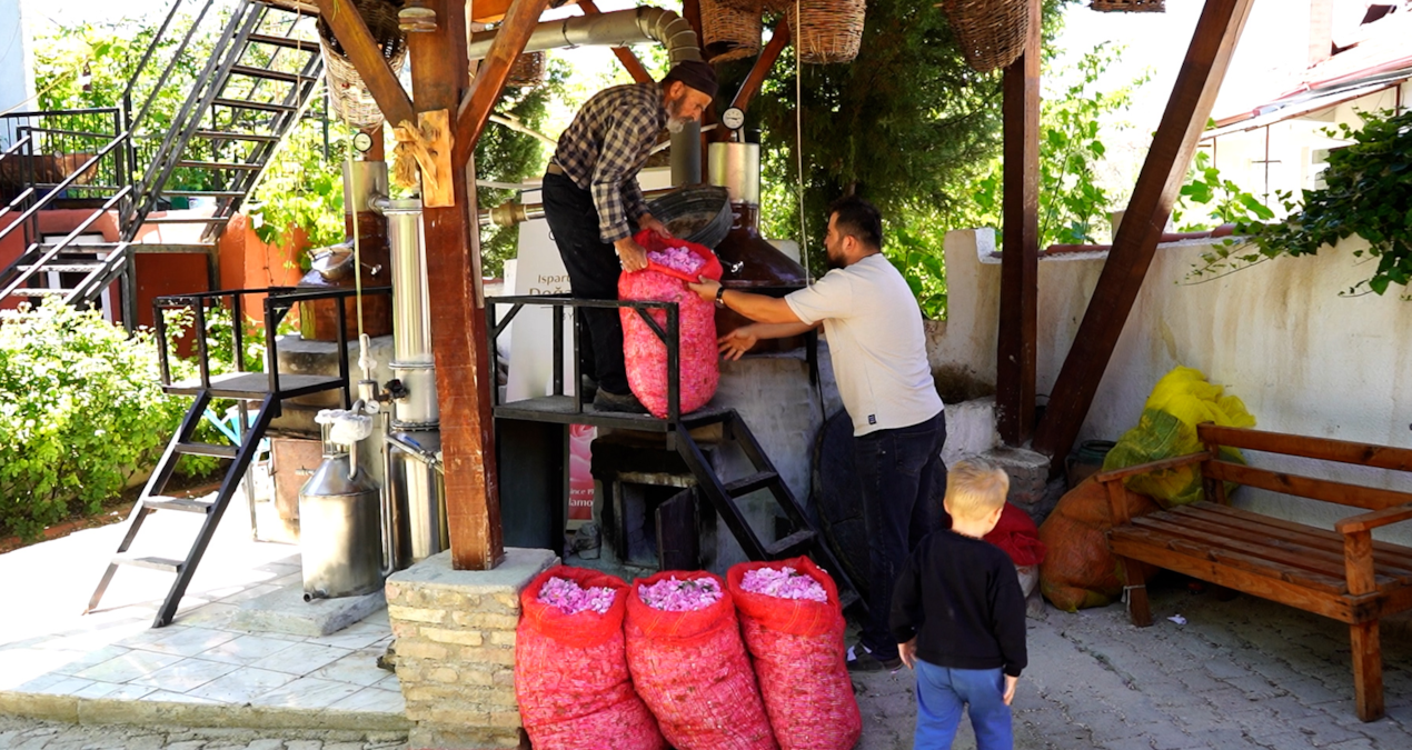 The miracle that produces 50 kilos of product in 2 hours: Germans are snapping it up! - Last Minute