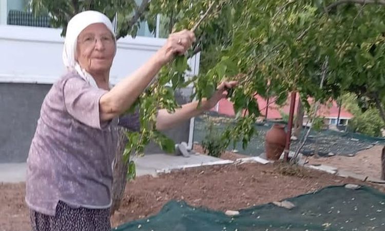 Son Gelişme: 85 yaşındaki çift, geleneksu baskını yöntemlerle dut pekmezi üretimini sürdürüyor - Son Dakika ve