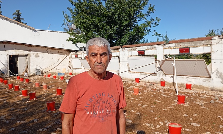 Adana İmamoğlu'nda hortumda yaklaşık 20 bin civciv öldü, çiftlikler zarar gördü: Gelişmeler Takip Ediliyor
