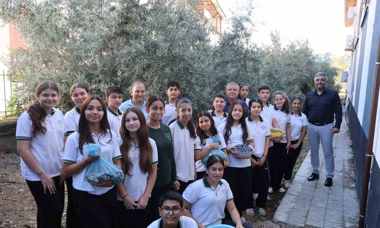 Adana Kozan'da öğrenciler 1. sınıfta diktikleri zeytini 8. sınıfta hasat etti | İşte Tüm Ayrıntılar