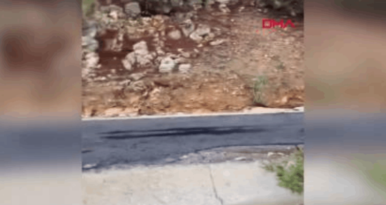 Ayrıntılar Netleşti: Adana- Kozan'da yol çöktü - Haberleri ve Merak Edilenler