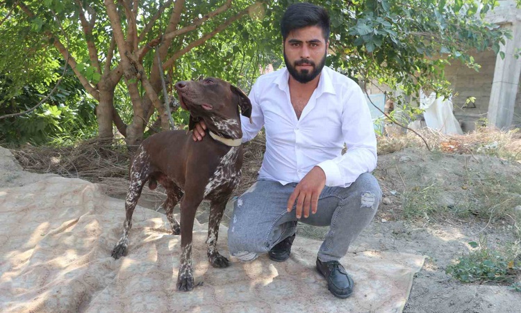Adana Sarıçam'da komşu, çiftçinin köpeğini sopayla darbetti; olay kameraya yansıdı - Son Dakika Bilgileri