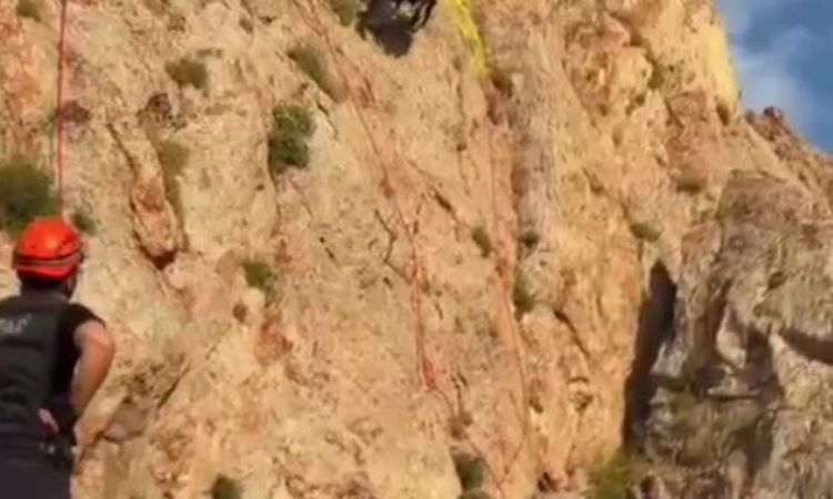 Son Gelişme: AFAD'dan Nefes Kesen Keçi Kurtarma Operasyonu - Son Dakika | İşte Tüm Ayrıntılar