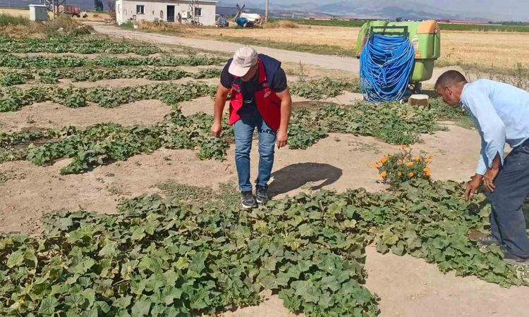 Son Gelişme: Afyonkarahisar'da Tarımsal Üretim İçin Saha Çalışmaları Sürüyor - Haberleri - Son Dakika Bilgiler