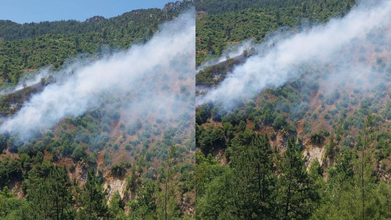 Forest fire in Adana: Response continues: Here are the Details