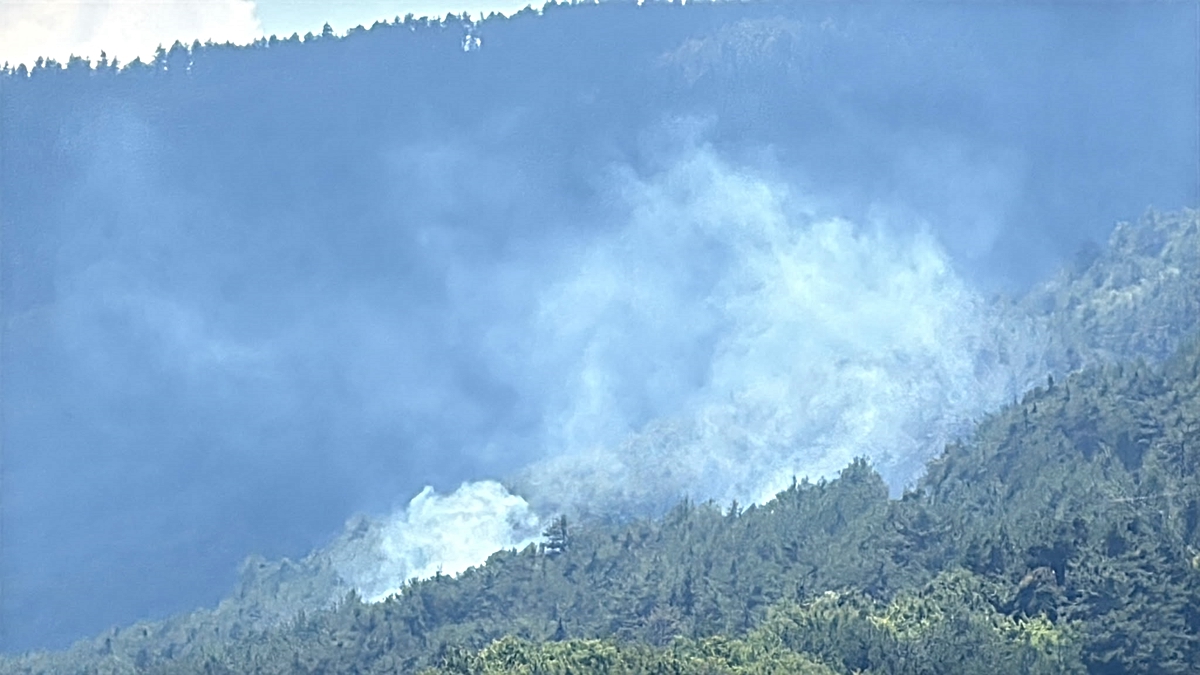Analysis | Forest fire under control in Karabük