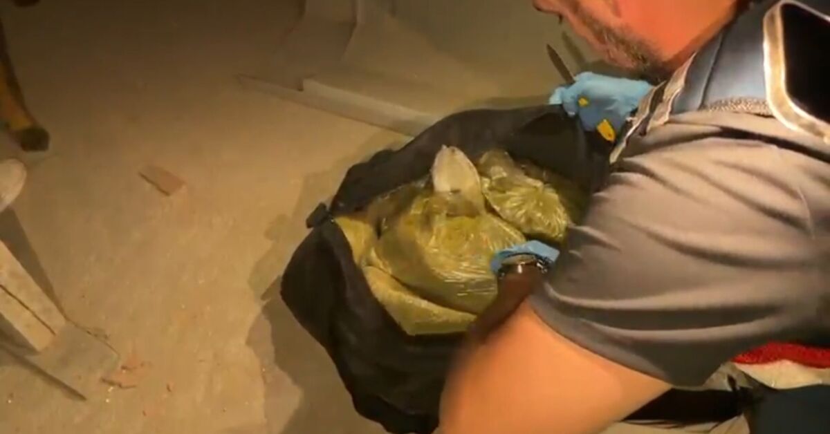 Agenda - 59 arrests in drug operation: Here are the Details