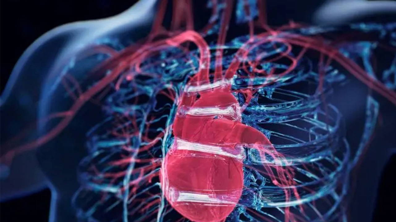 What is aortic rupture and what causes it? and Latest Developments