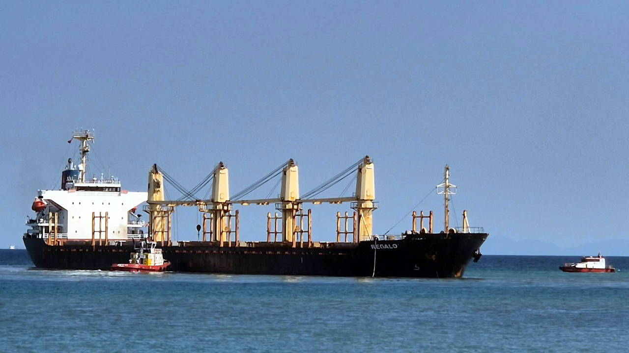 Breaking: Dry Cargo Ship Runs Aground Off Tekirdağ