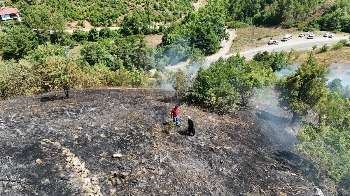 Wildfire in Adana's Feke District Under Control (Details)