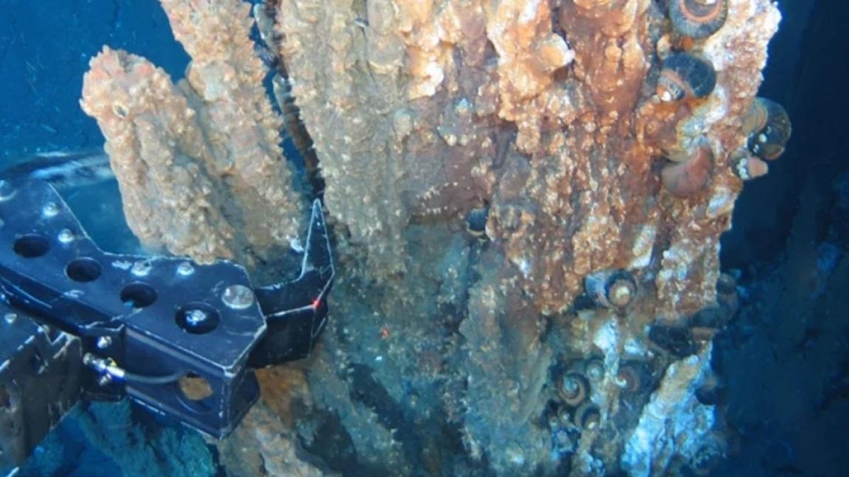 Agenda - The world's deepest gold deposit was found: Captured at 750 meters: Here are the Details