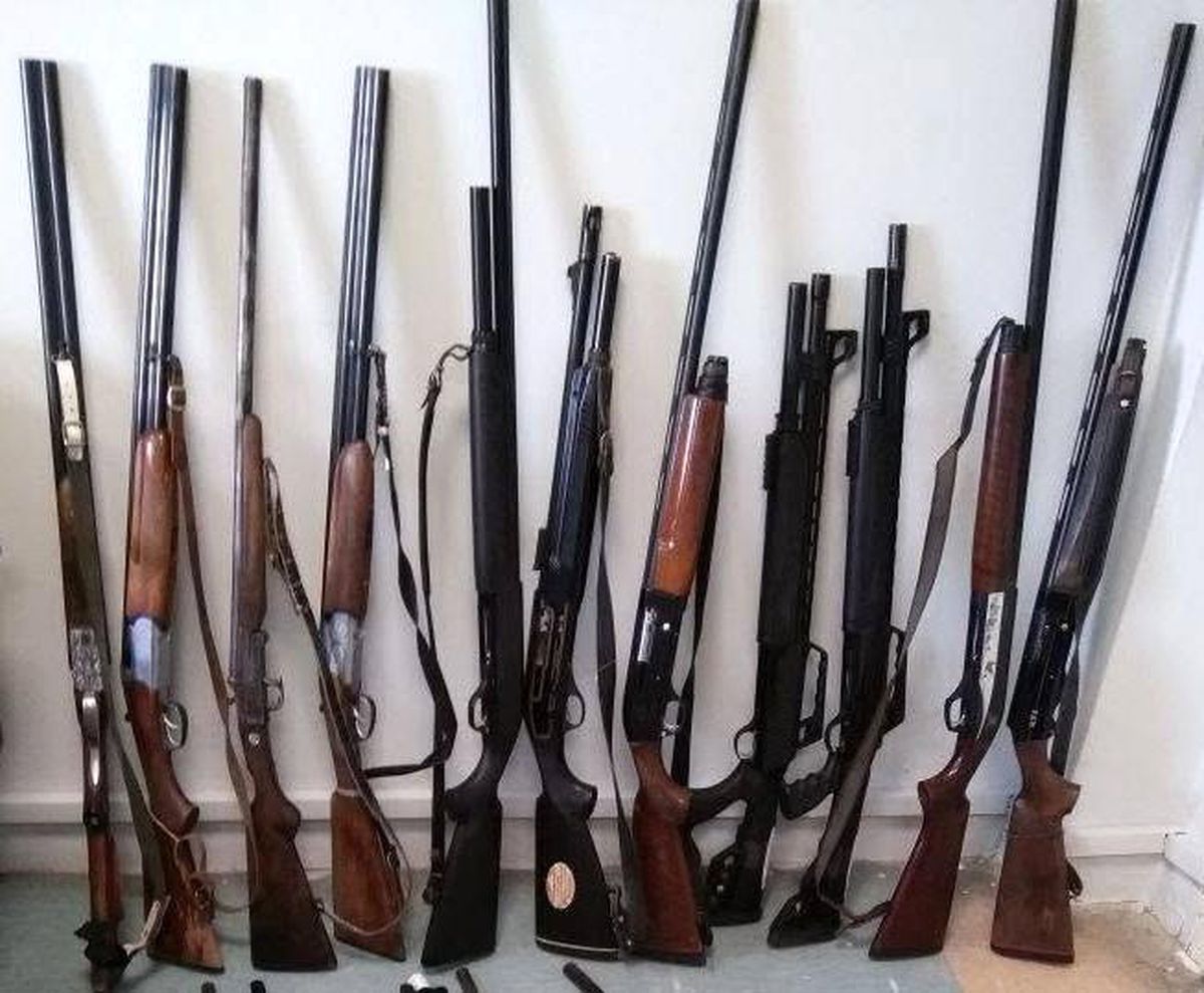 30 rifles used in illegal hunting are up for sale - Breaking News