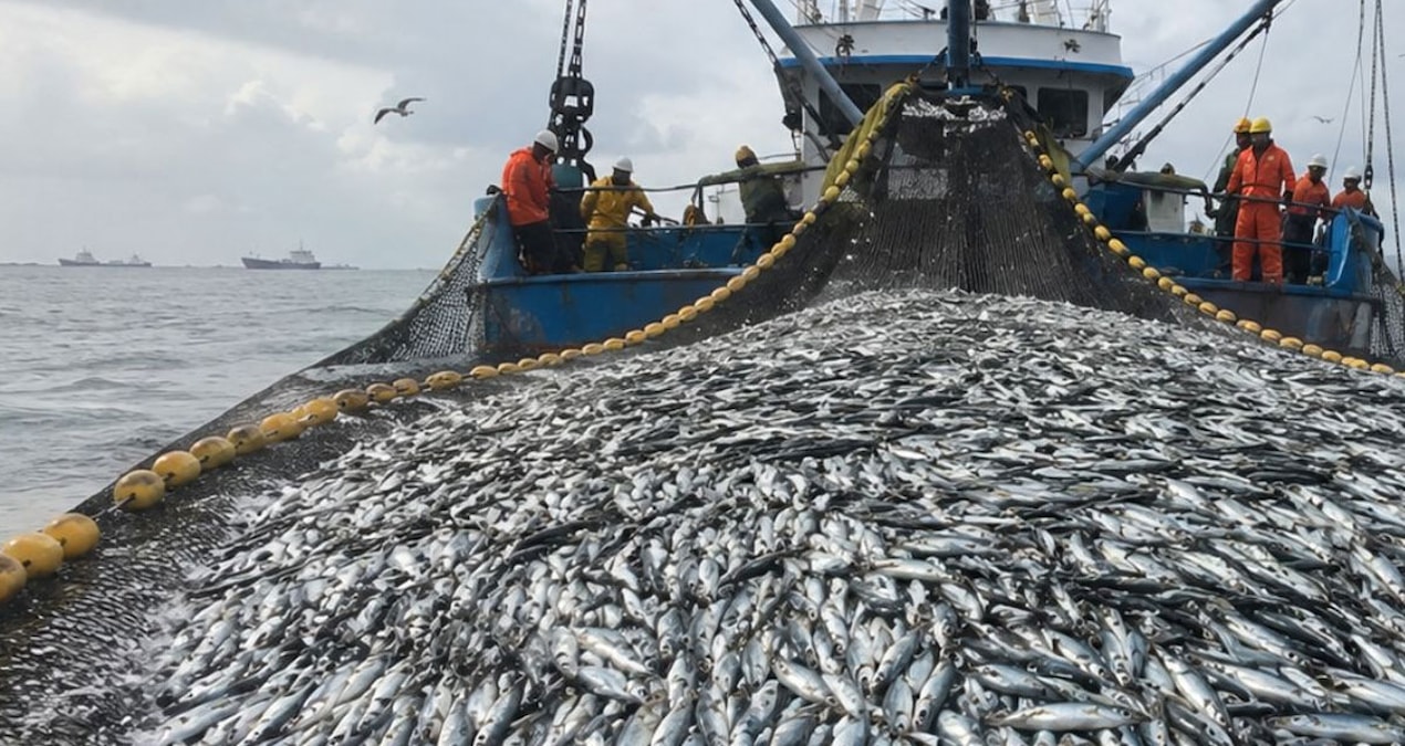 Hot Development: The fish that its people did not even look at turned the huge country into a billion-dollar world power