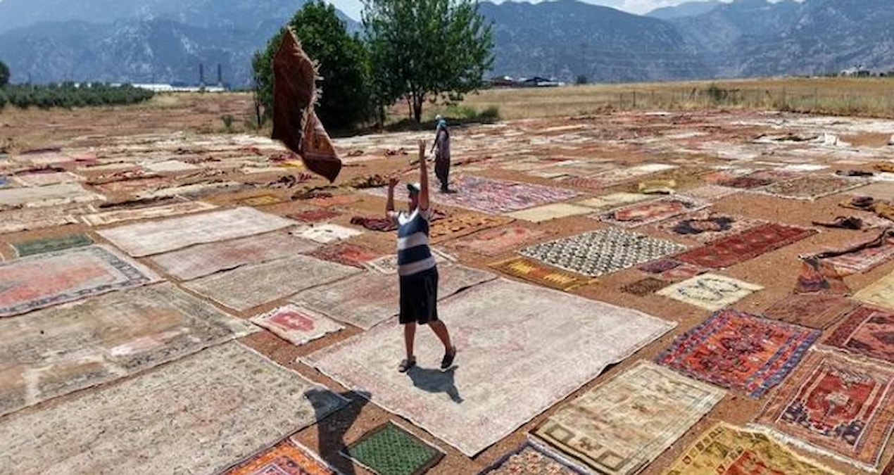 They spread it on the fields in Antalya and keep it waiting: Each one will be sold for 5 thousand dollars (Details)