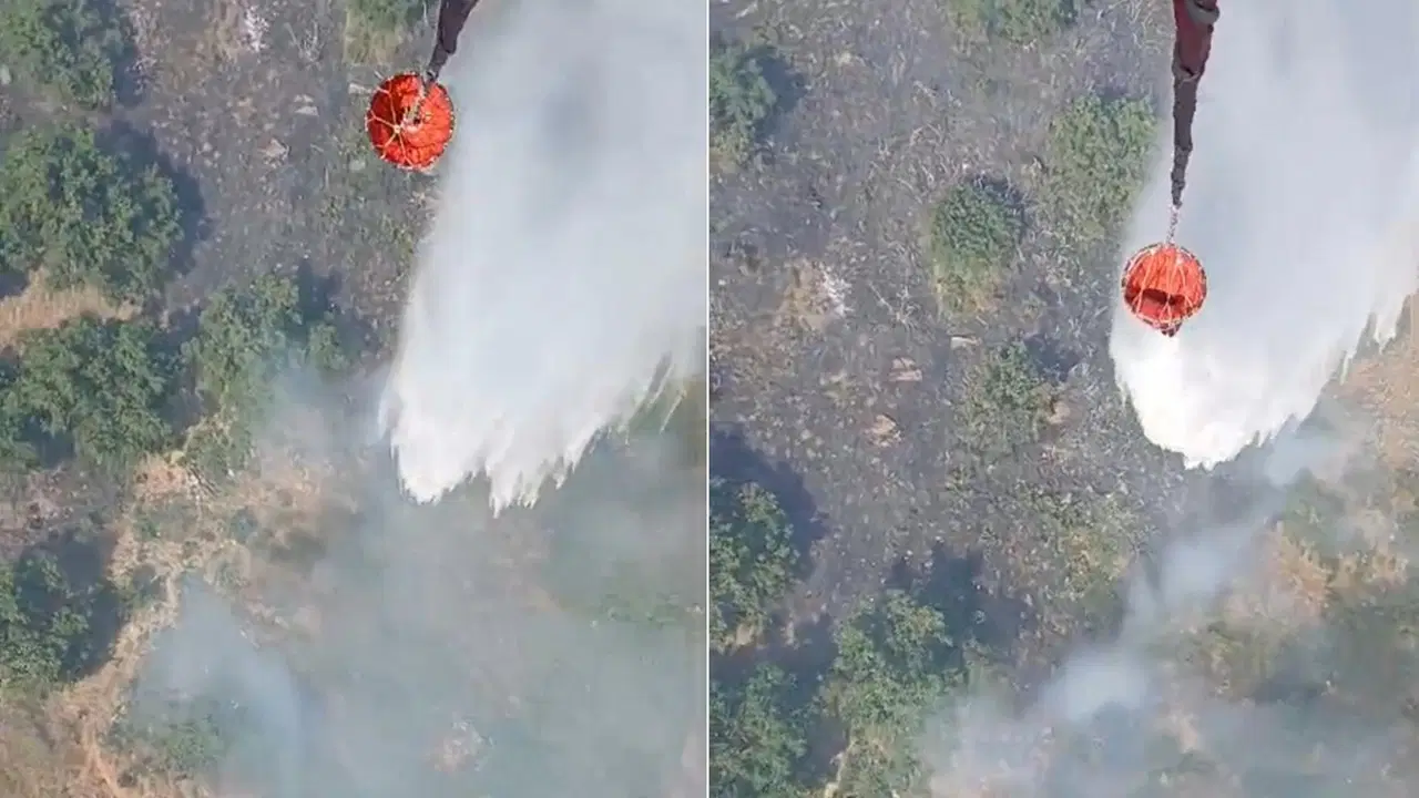 Fire in agricultural land in Aydın: Here are the Details