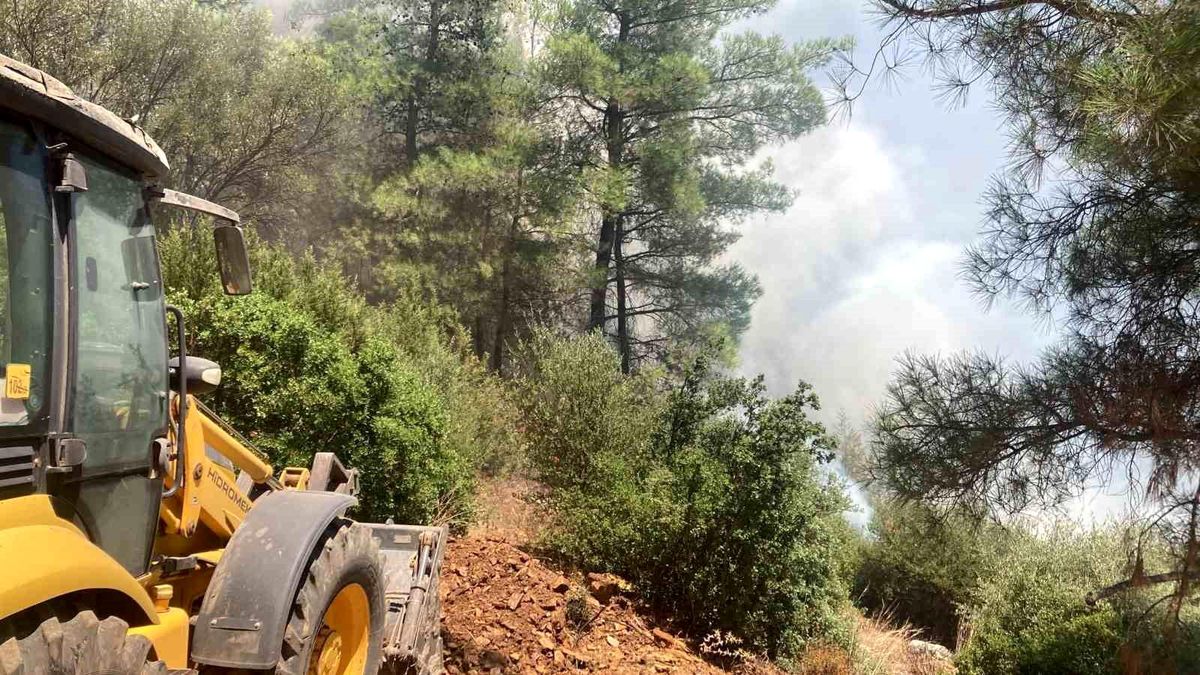 Hot Development: The fire, amplified by the wind, was extinguished in 1 hour