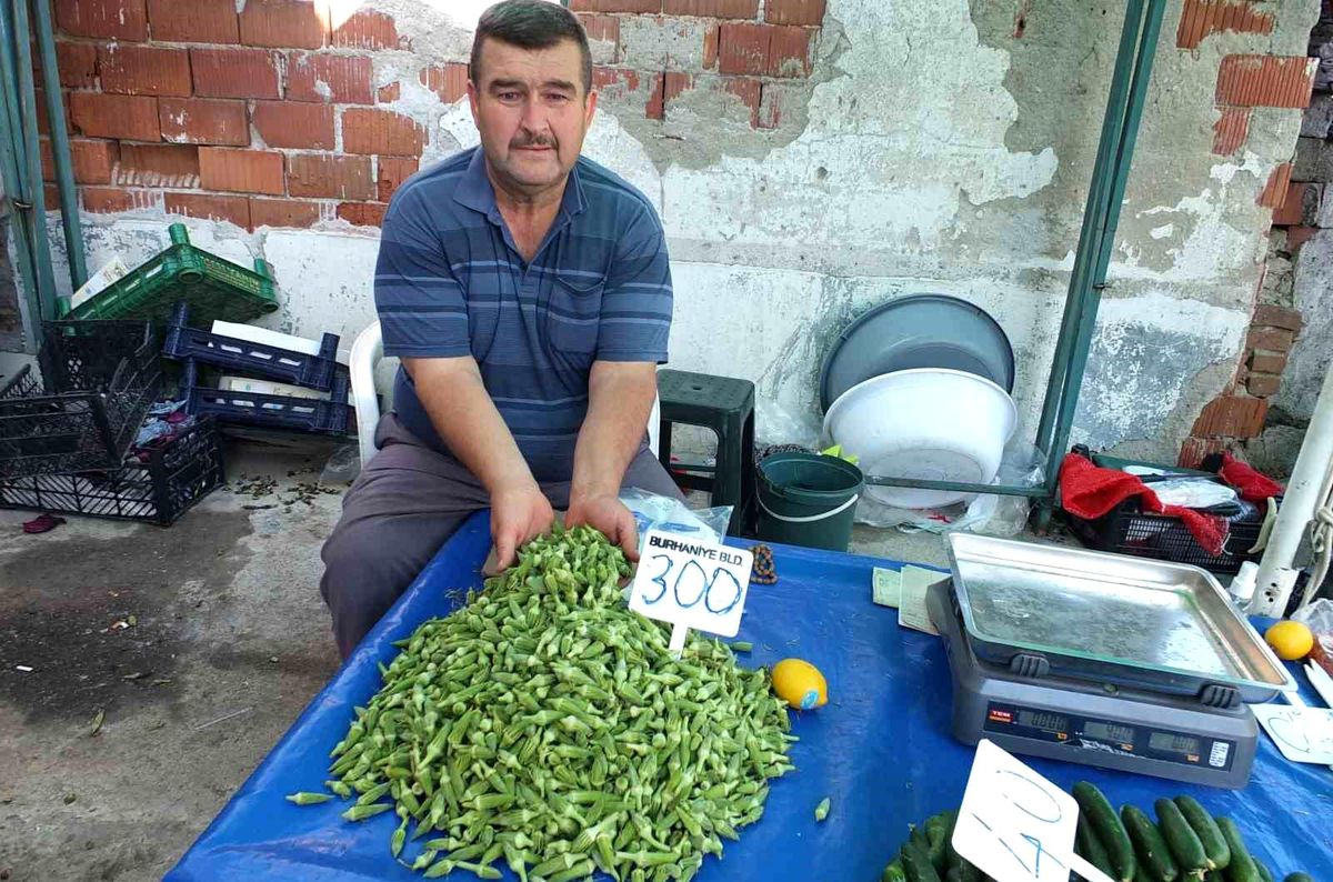 It brought benefits to the okra producer in Burhaniye (Details)