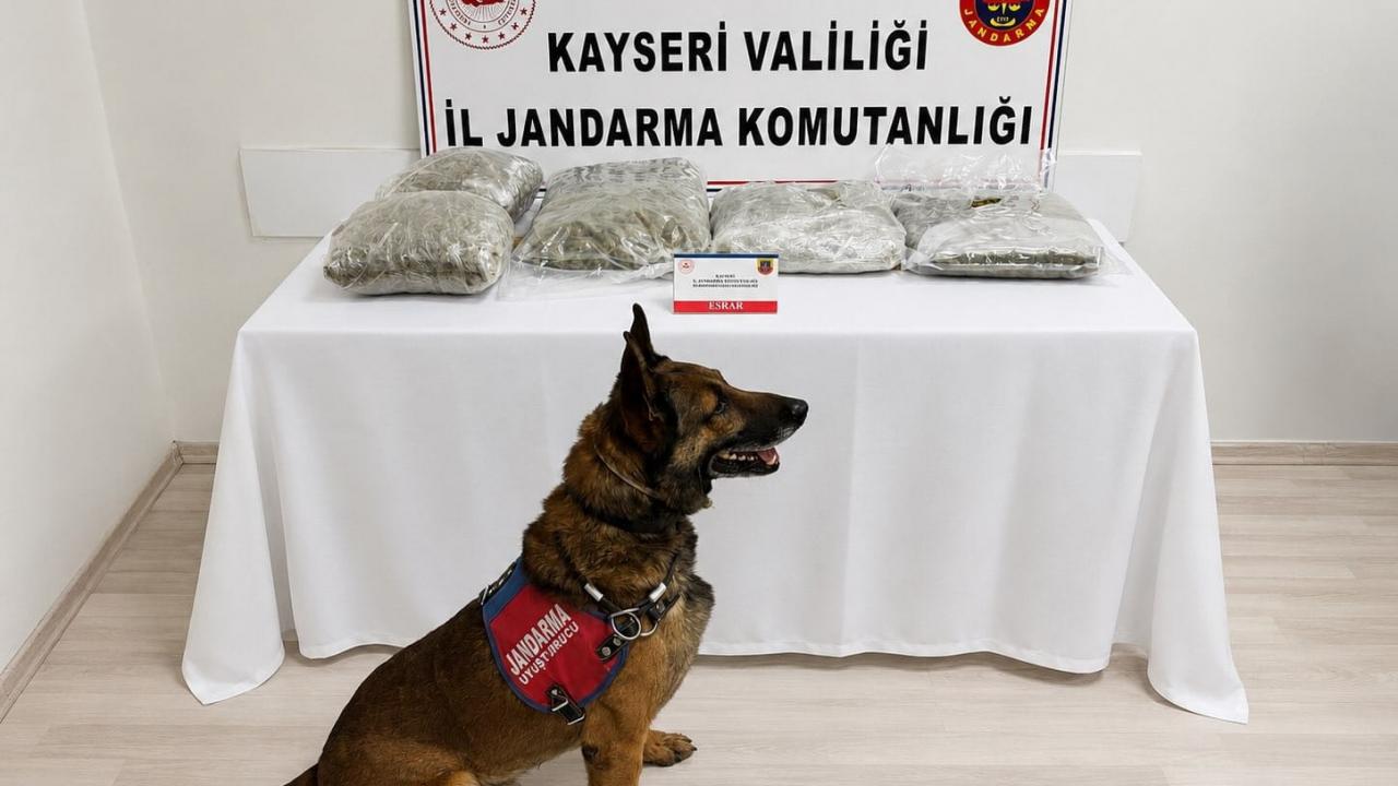 Analysis | Gendarmerie obstacle to drug shipment in Kayseri!