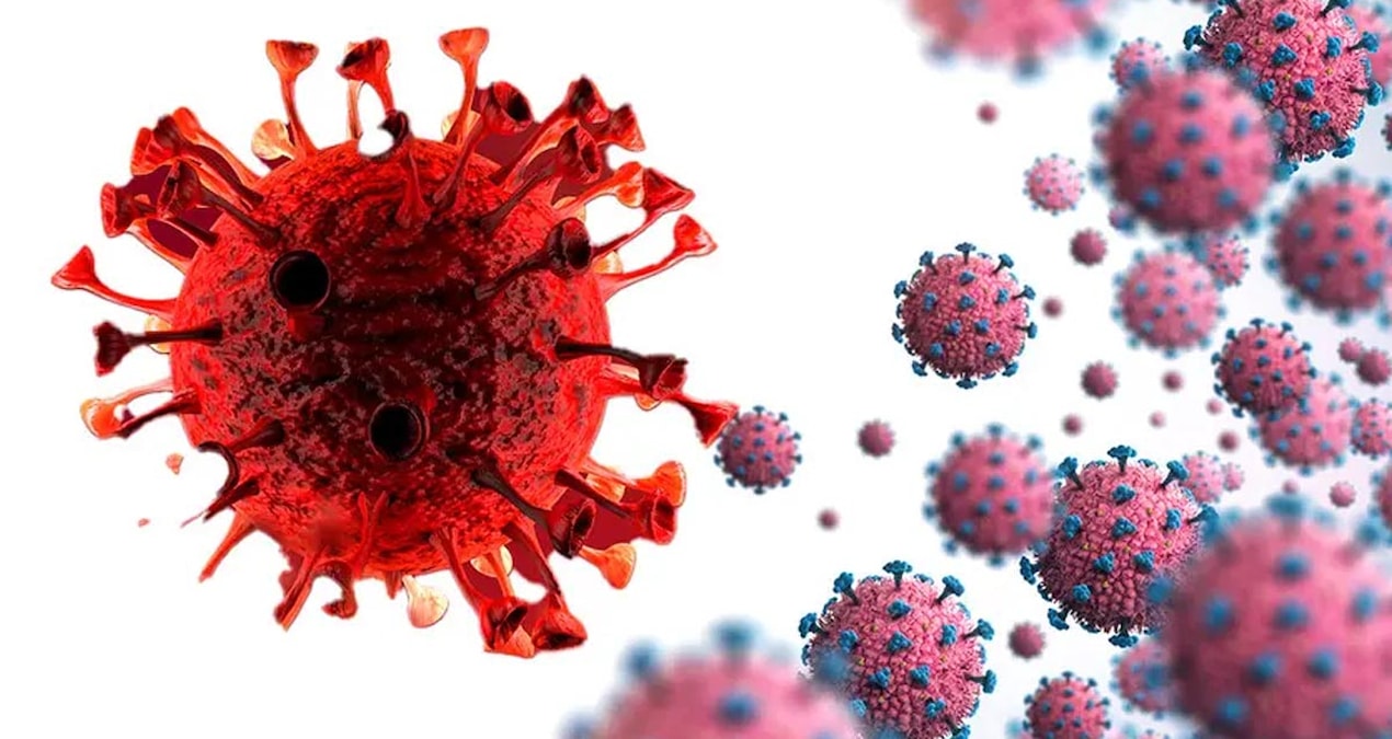 7 thousand people were infected with this disease: The source of the epidemic is unknown and Latest Developments