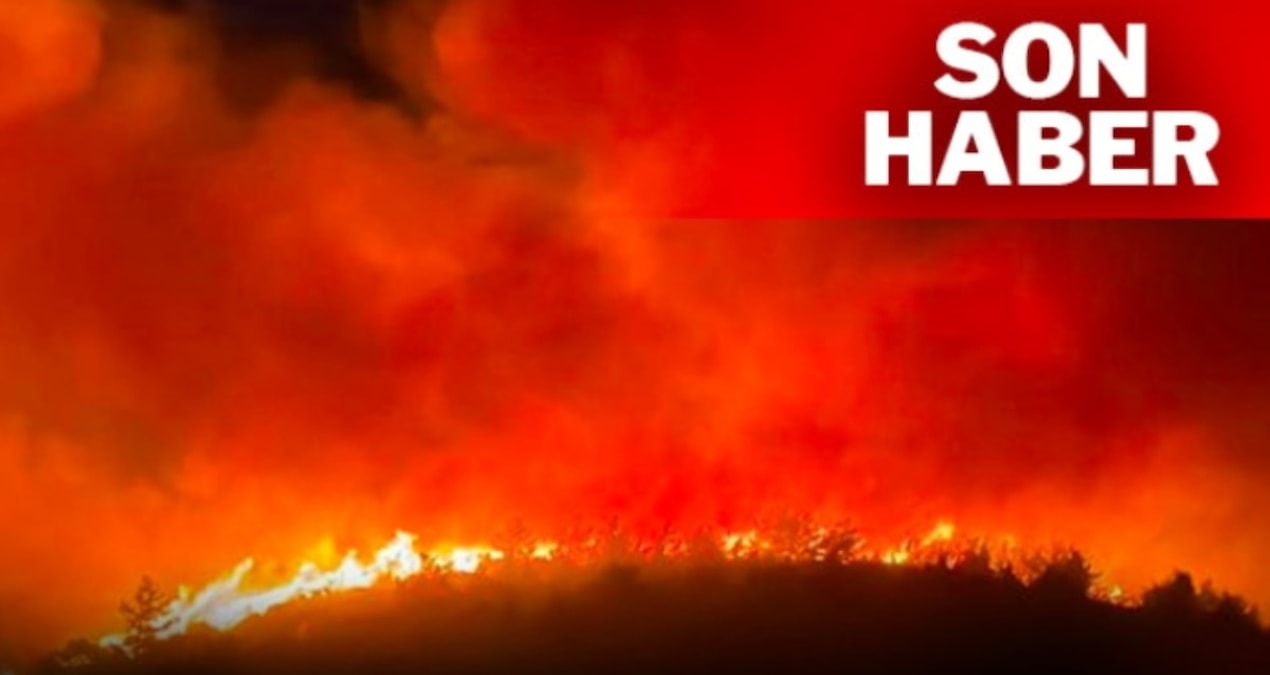 Agenda - Muğla is on fire: Hotels are evacuated, citizens are being evacuated: Here are the Details