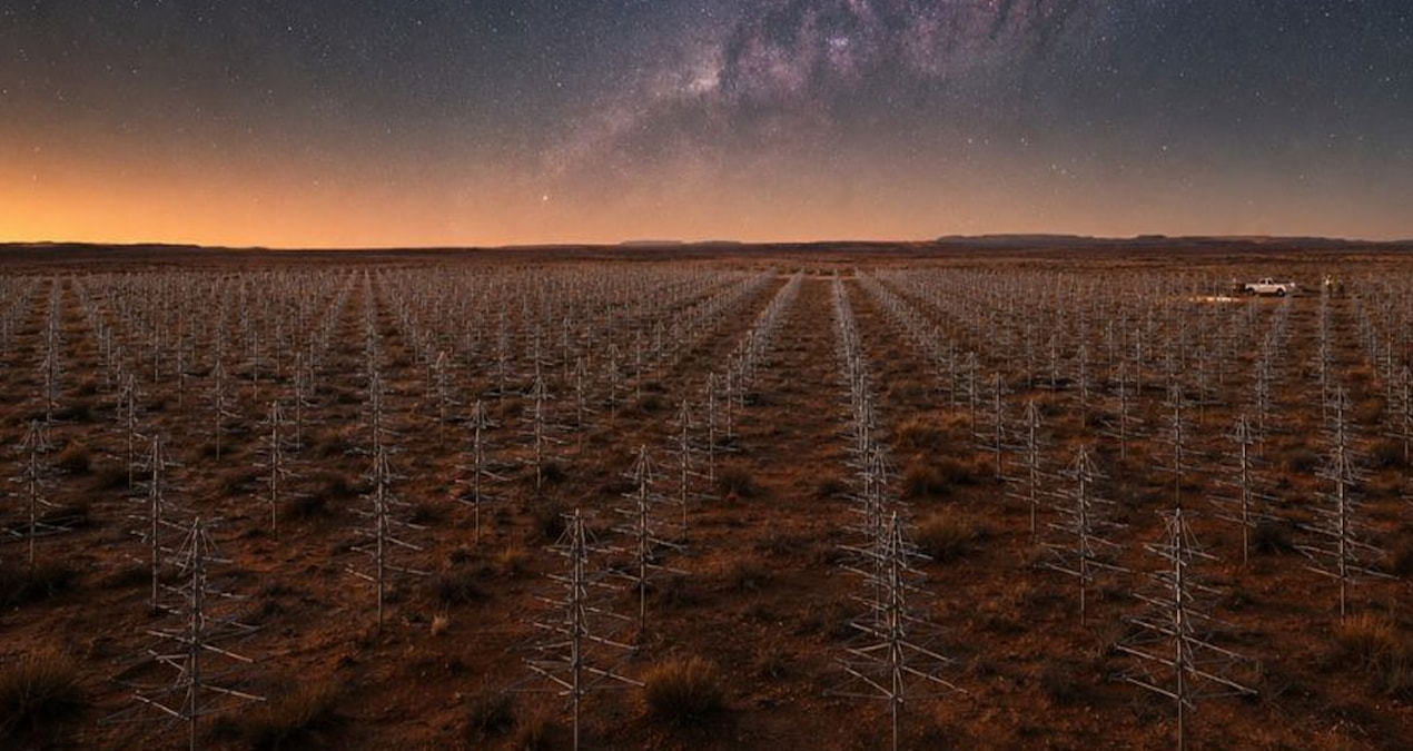 Hot Development: A forest is being built in the middle of the desert using 131,072 antennas and Latest Developments