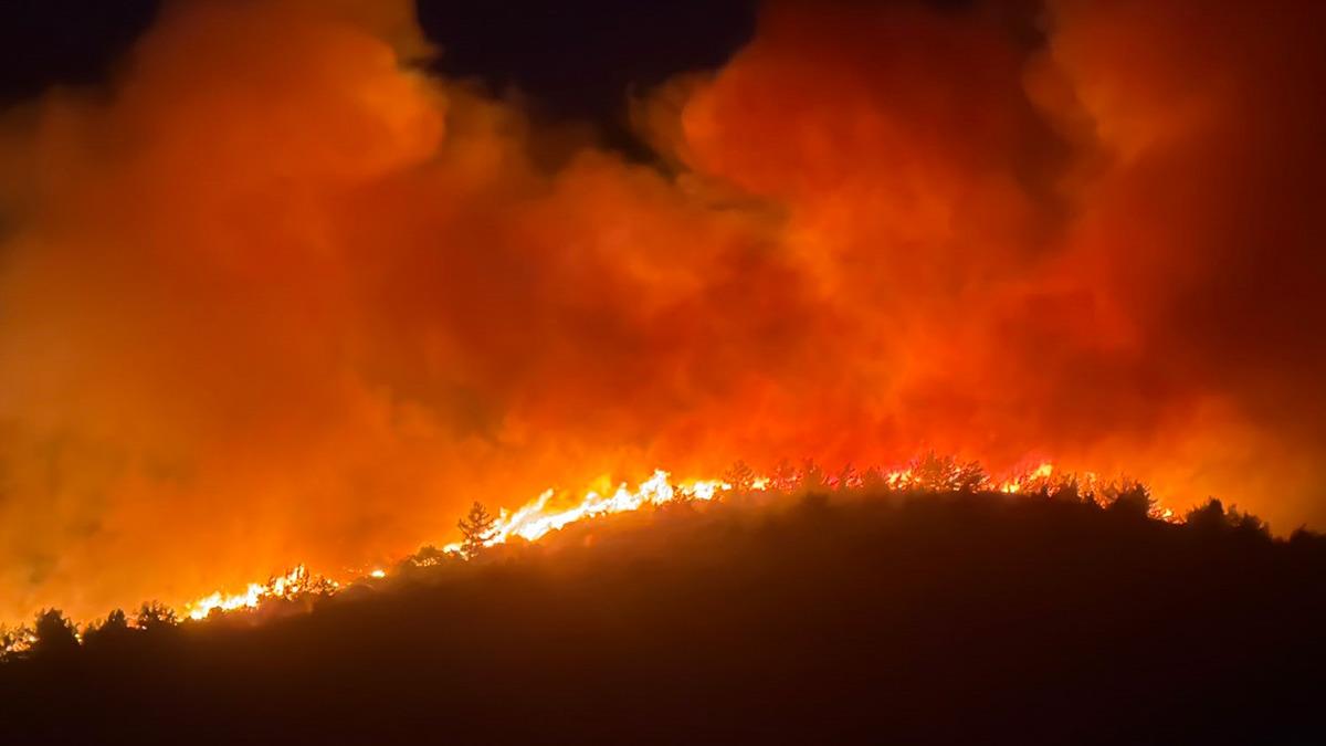 Hot Development: Forest fire in Muğla! More than 1000 citizens were evacuated from the hotel and holiday site: Here are the Details