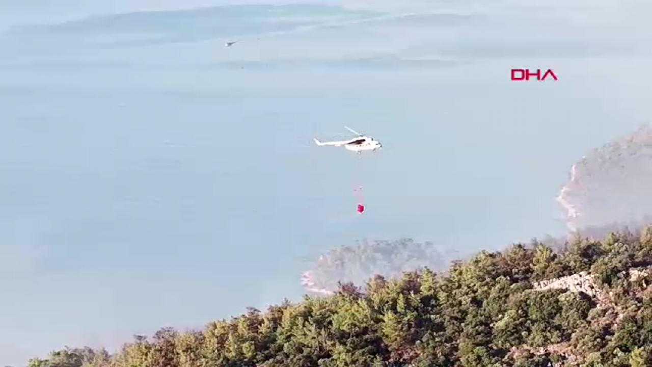 Agenda - The forest fire in Milas is on its 2nd day! (Detail)