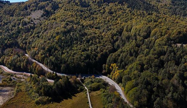 Hot Development: Entry into the forest is banned in Bolu! Governorship Shared Date Details and Latest Developments