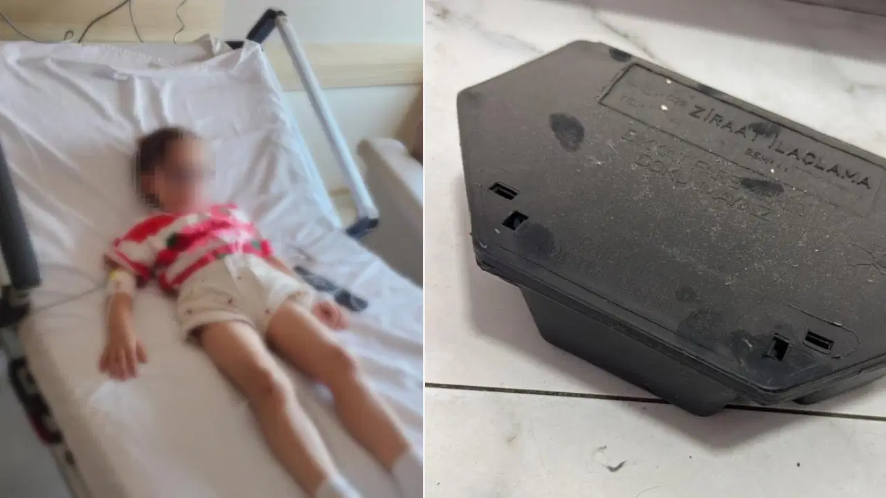 Analysis | Incredible negligence claim in the nursery: The child who came into contact with rat poison was hospitalized and Latest Developments