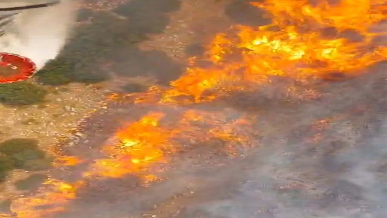 Latest Development: Forest fire in Manisa Akhisar (Details)