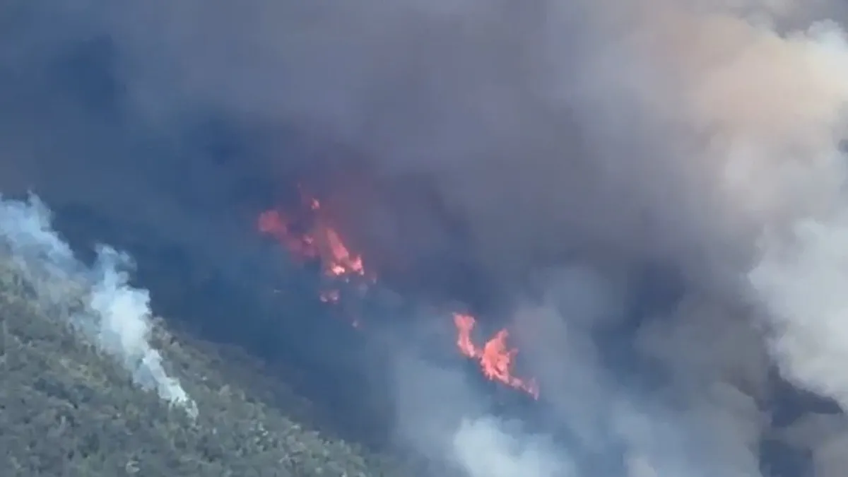 Analysis | BREAKING NEWS... Forest fire in Manisa Akhisar! Flames reached Izmir-Istanbul Highway (Details)