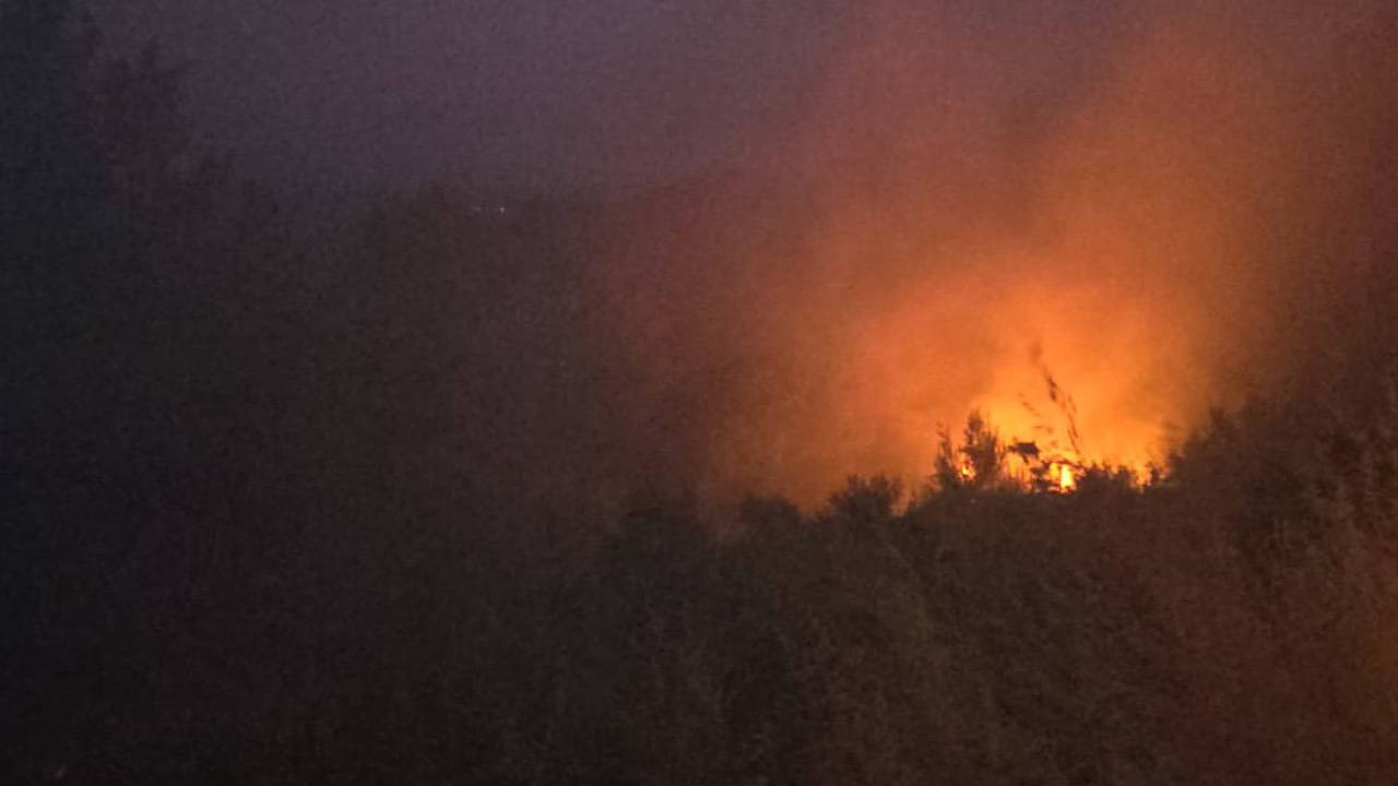 Analysis | Toll sheet in Karacasu fire: 20 acres of forest was reduced to ashes: Here are the Details