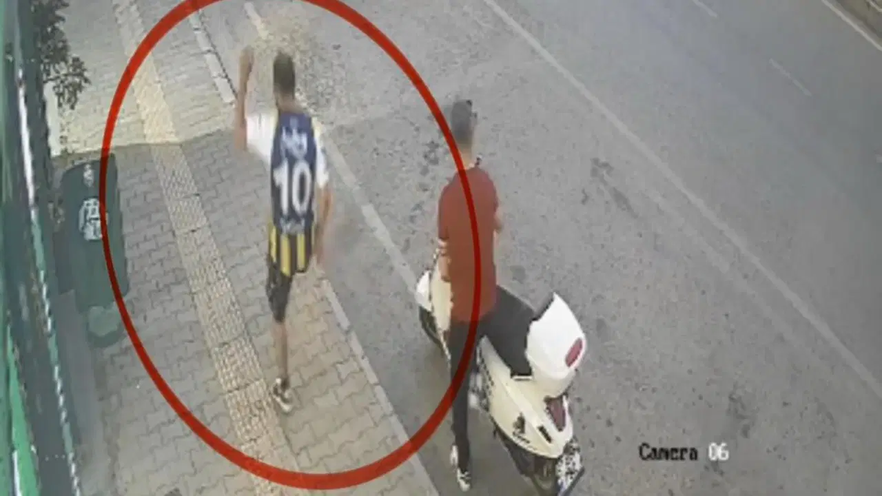 Latest Development: He kicked the cat: Footage emerged and Latest Developments