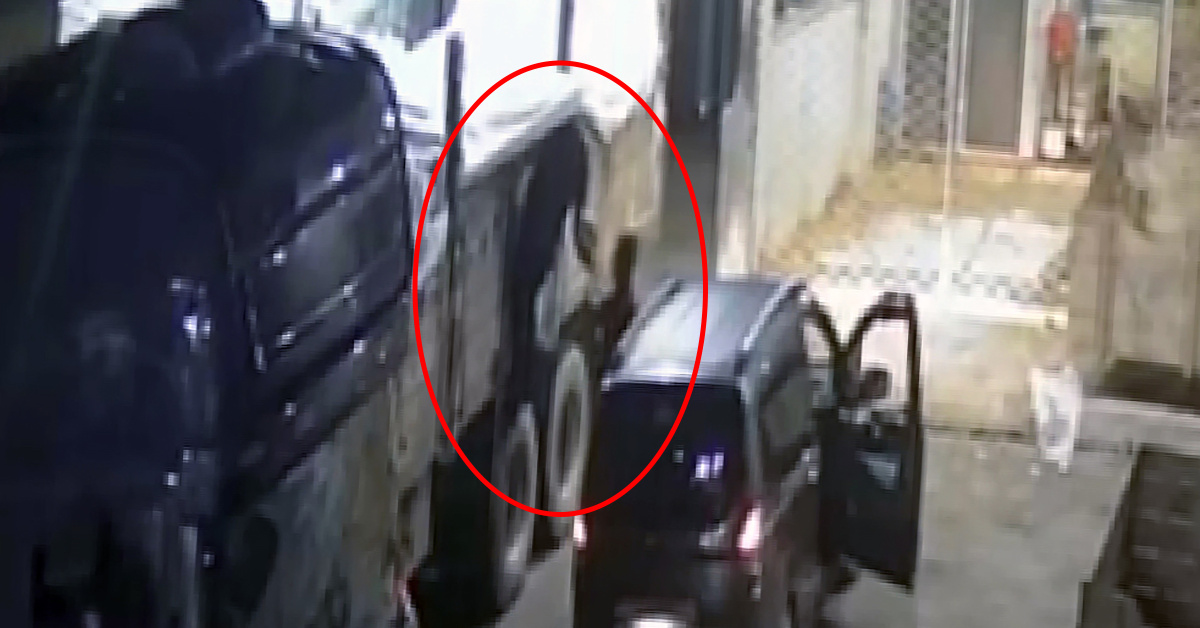 Agenda - They stole 600 kilos of fruit and sold it
