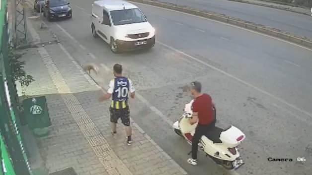 Analysis | The suspect who kicked the cat in Samsun was captured