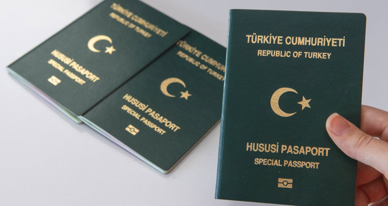 Analysis | 6 professional groups are in line for green passports