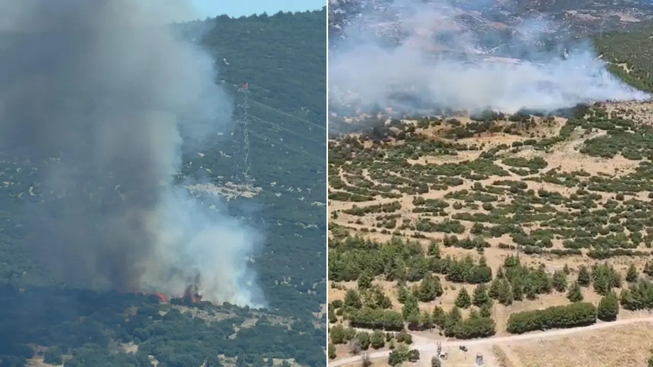 Forest fire in Izmir Bornova: Response continues!: Here are the Details