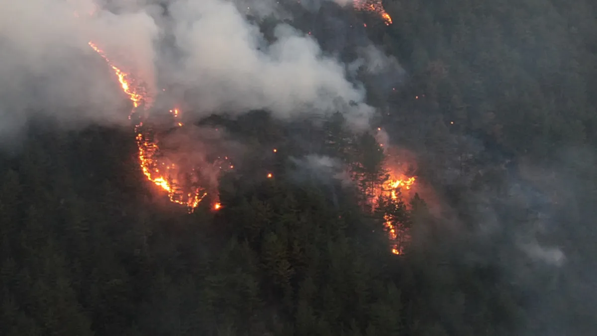 Latest Development: Forest fire in Kastamonu: It was taken under control after 4.5 hours of work: Here are the Details