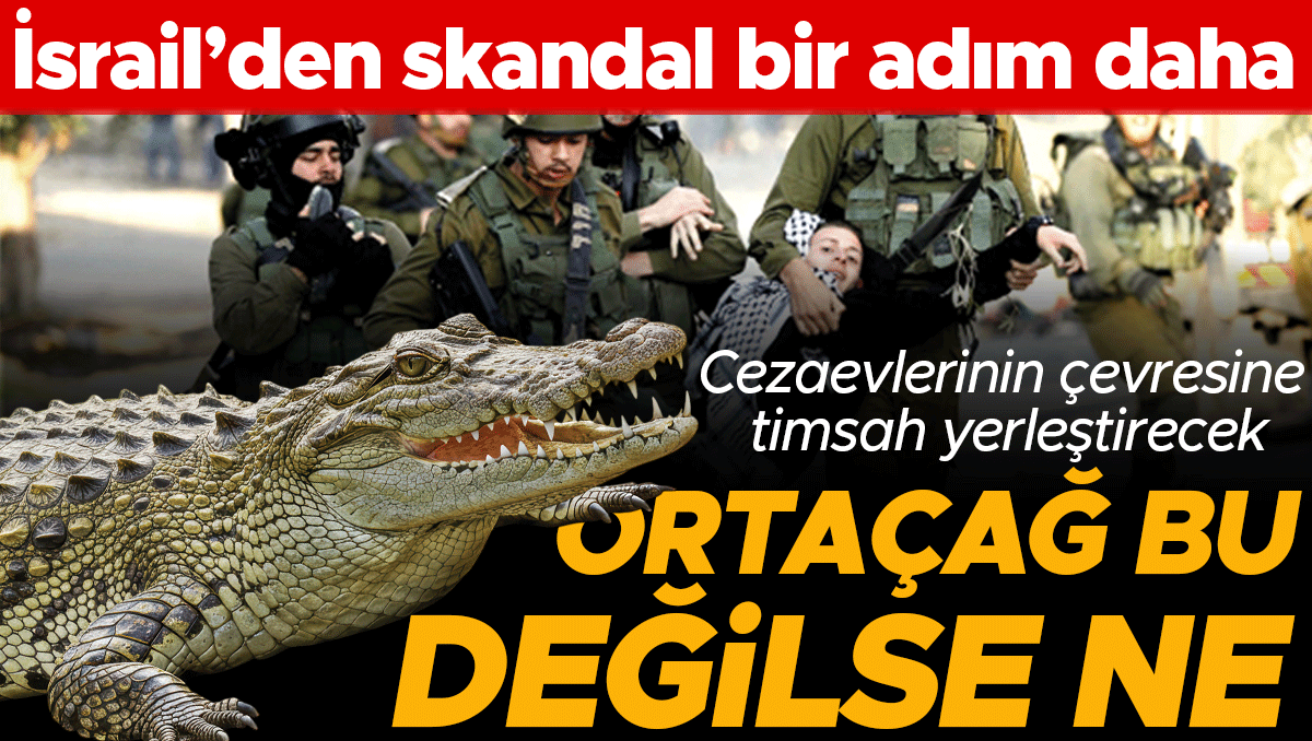 Kritik Açıklama: Filistinli mahkumlara akılalmaz ceza: İsrail’de yeni gardiyan ‘timsahlar’ (Detaylar) | İşte T