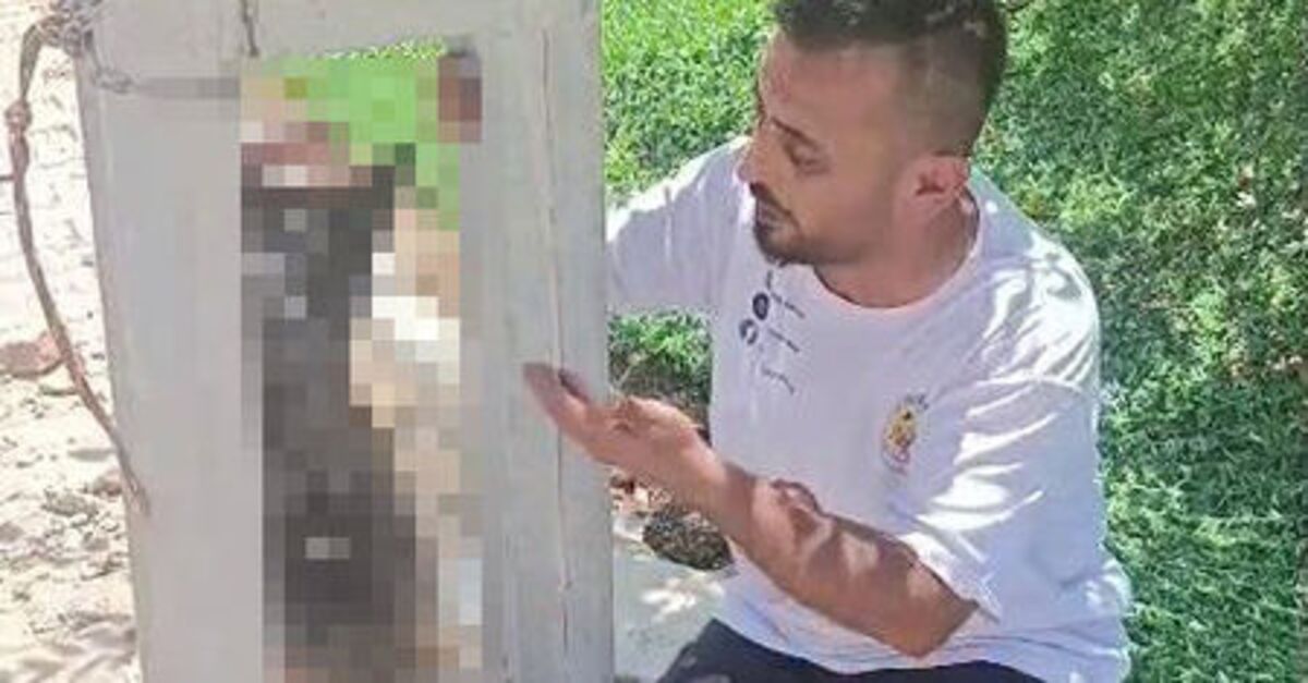 Gündemden Son Bilgiler: Analiz | Çaldı, öldürüp direğe astı!: Gelişmeler Takip Ediliyor