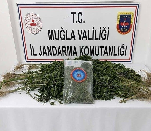 Muğla'da uyuşturucu operasyonları: 5 zanlı hakkında tutuklama kararı verildi: İşte Ayrıntılar ve Merak Edilenl