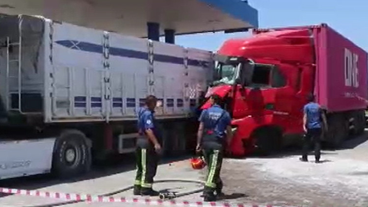 Ayrıntılar Netleşti: Analiz | Kabine giren arı faciaya yol açıyordu! Alerjisi olan şoför bayılınca TIR istasyo