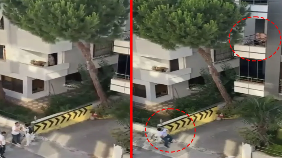 Son Gelişme: Son Gelişme: Maltepe’de kadına şiddet iddiası mahalleliyi sokağa döktü: Balkondaki adama taş fırl