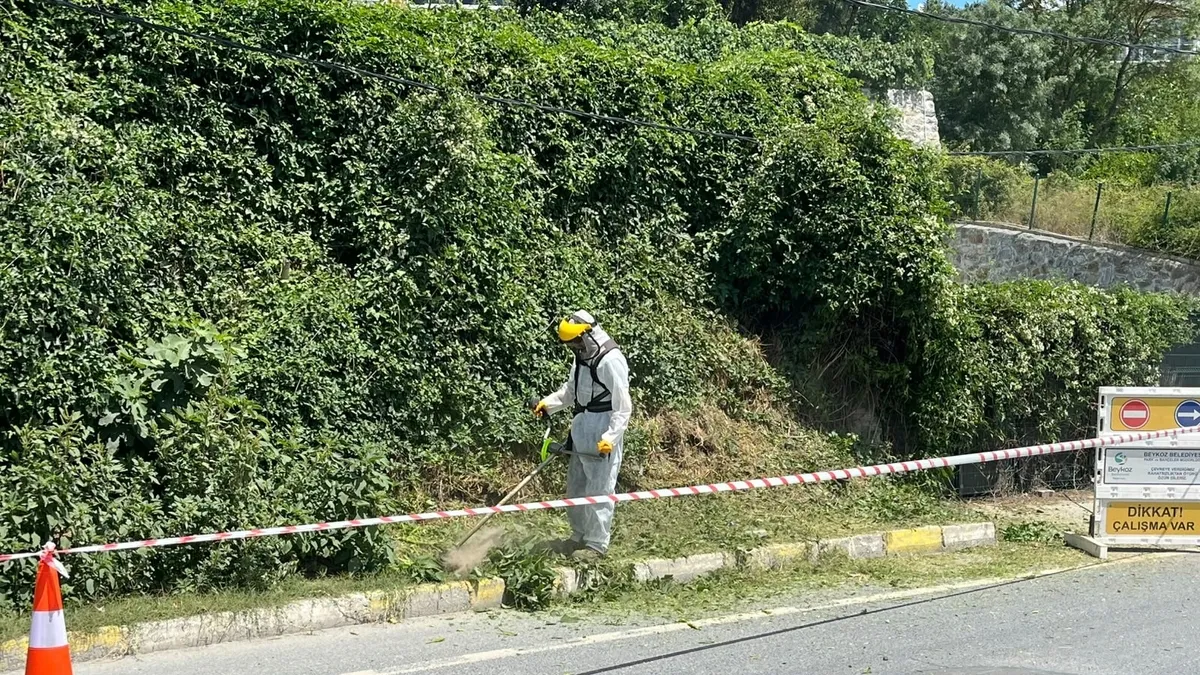 Kritik Açıklama: Beykoz'da otlar metrelerce uzadı: O yollar İBB’nin sorumluluğundaydı! ve Merak Edilenler