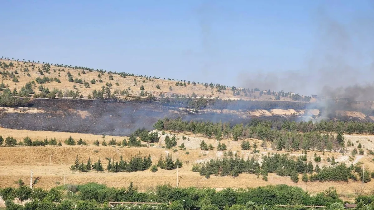 Analiz | Şanlıurfa'da ormanlık alanda yangın çıktı! Ekiplerin müdahalesi sürüyor (Detaylar) ve Merak Edilenler