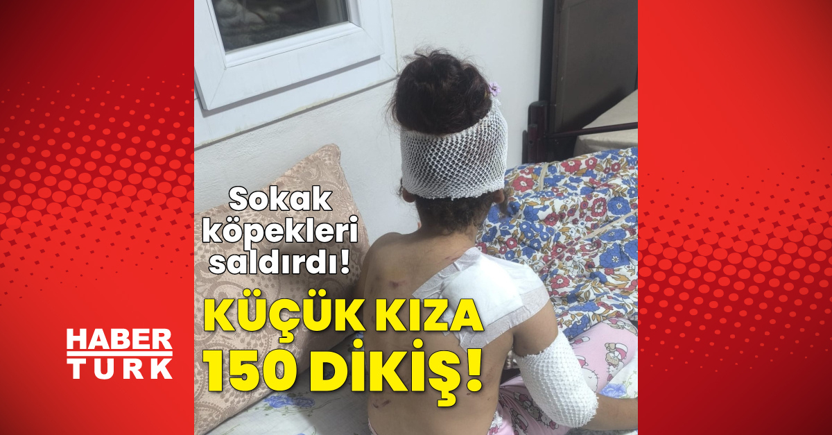 Ayrıntılar Netleşti: Analiz | 150 dikiş atıldı! Şoför kurtardı ve Son Gelişmeler ve Merak Edilenler